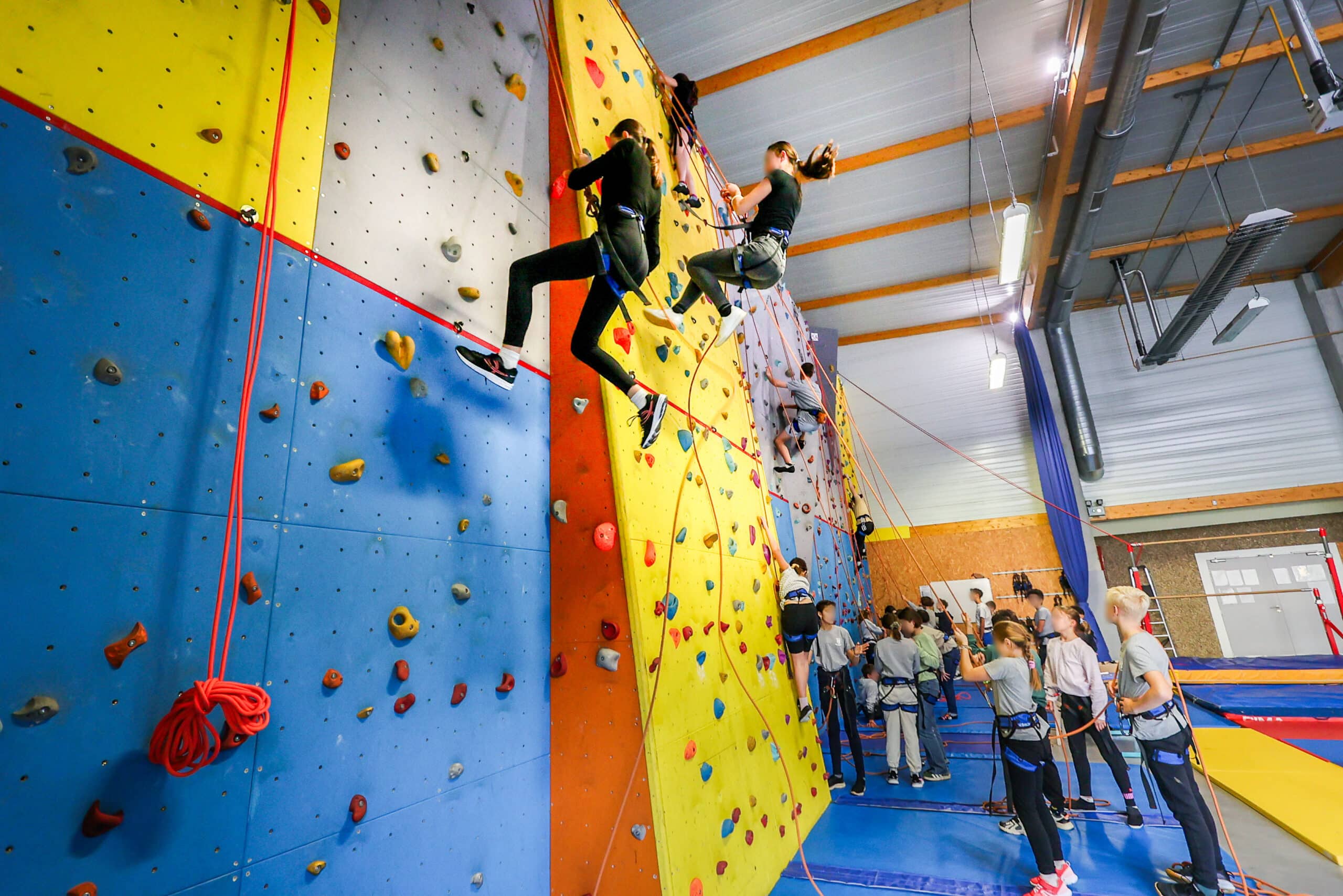 Sarah Boillet Photographie